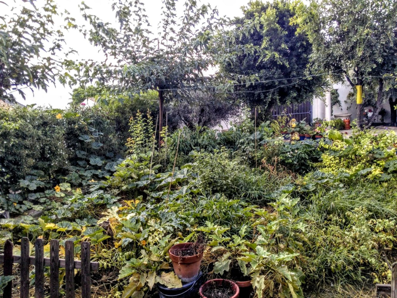 El huerto de jardín