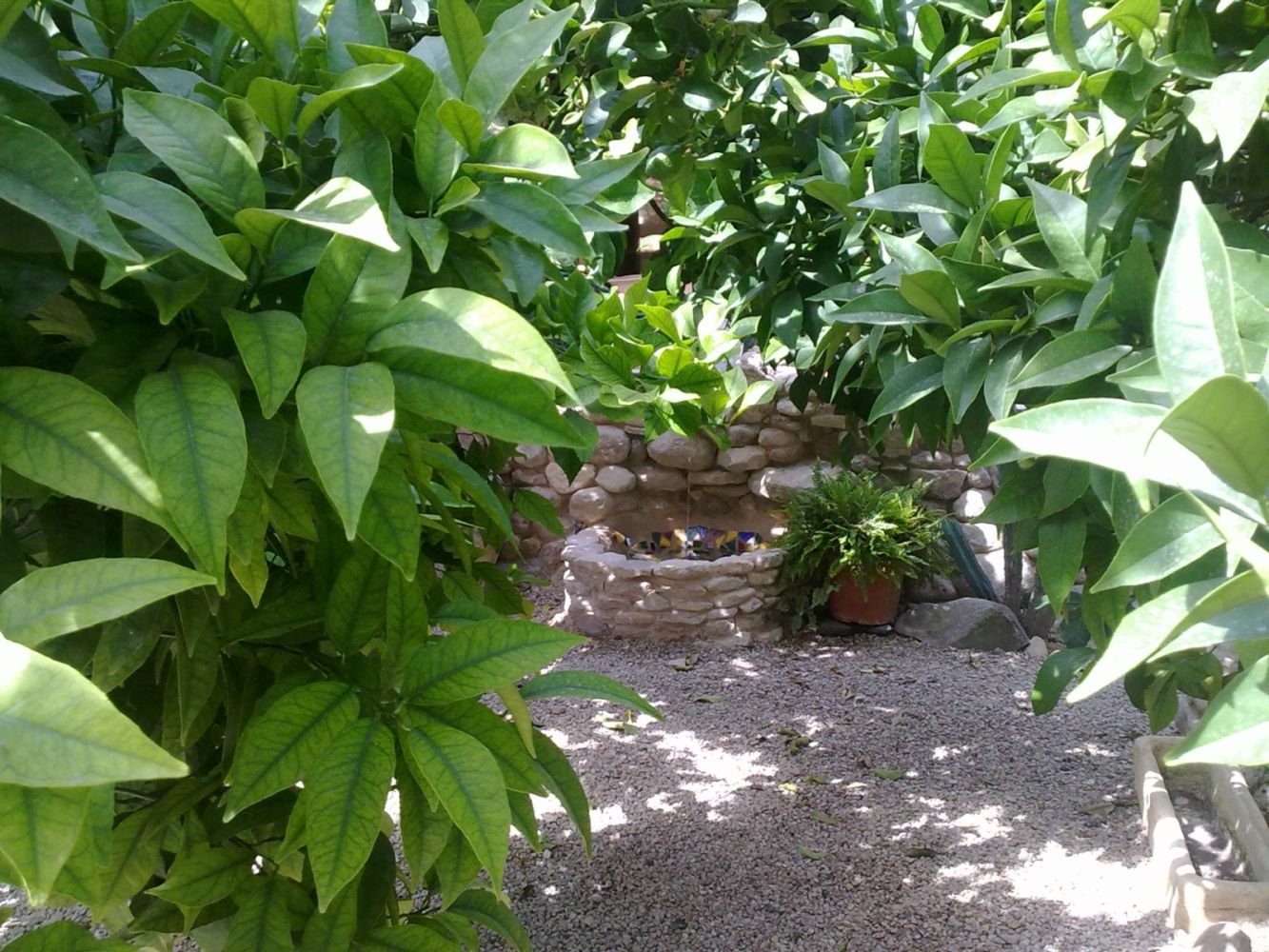 FUENTES DE JARDÍN